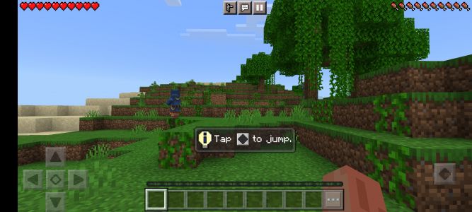 Minecraft APK 4