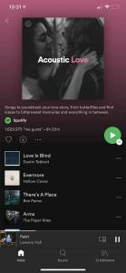 Spotify APK 3