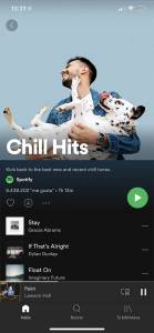 Spotify APK 5